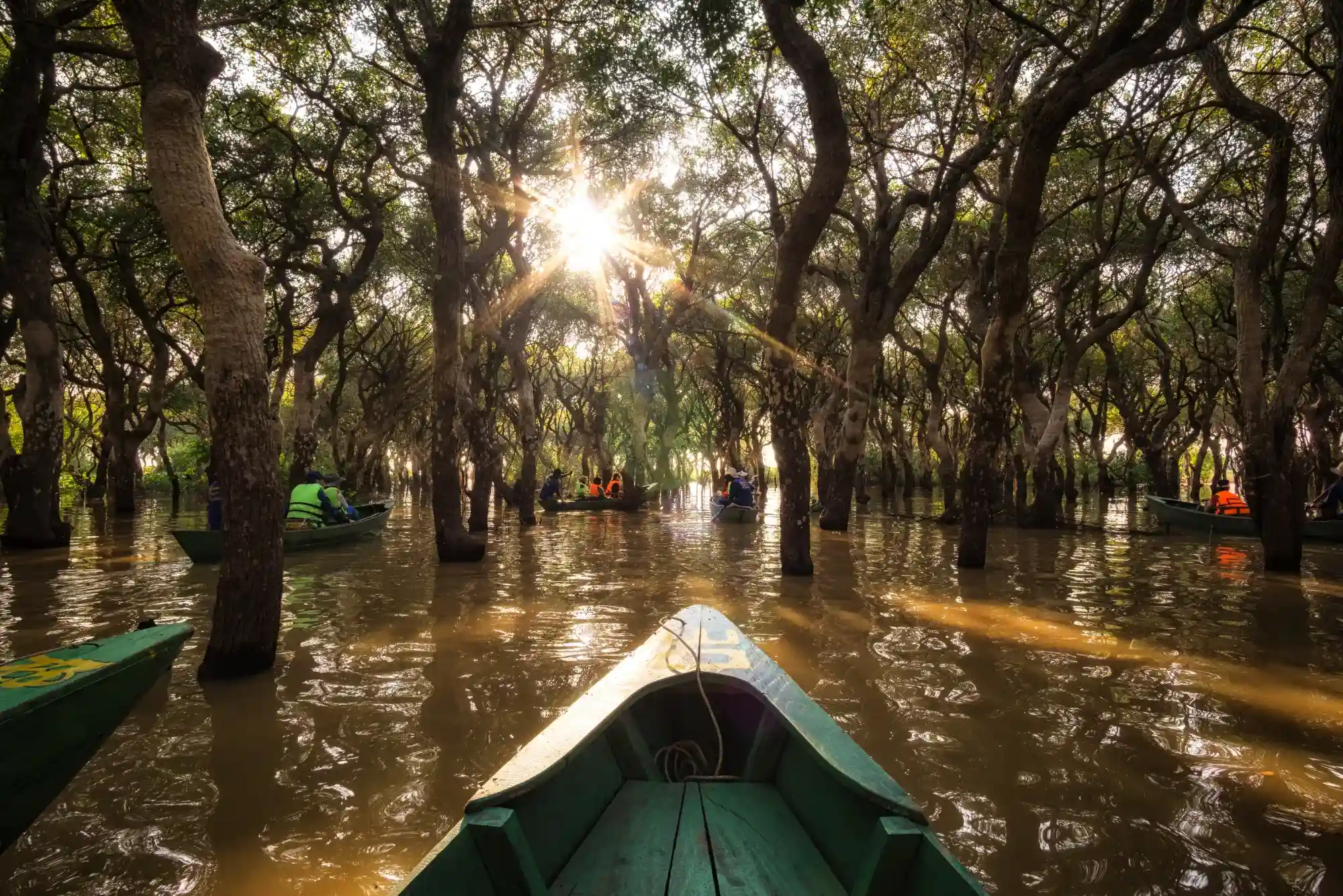 Kota Kinabalu Mangrove Tour