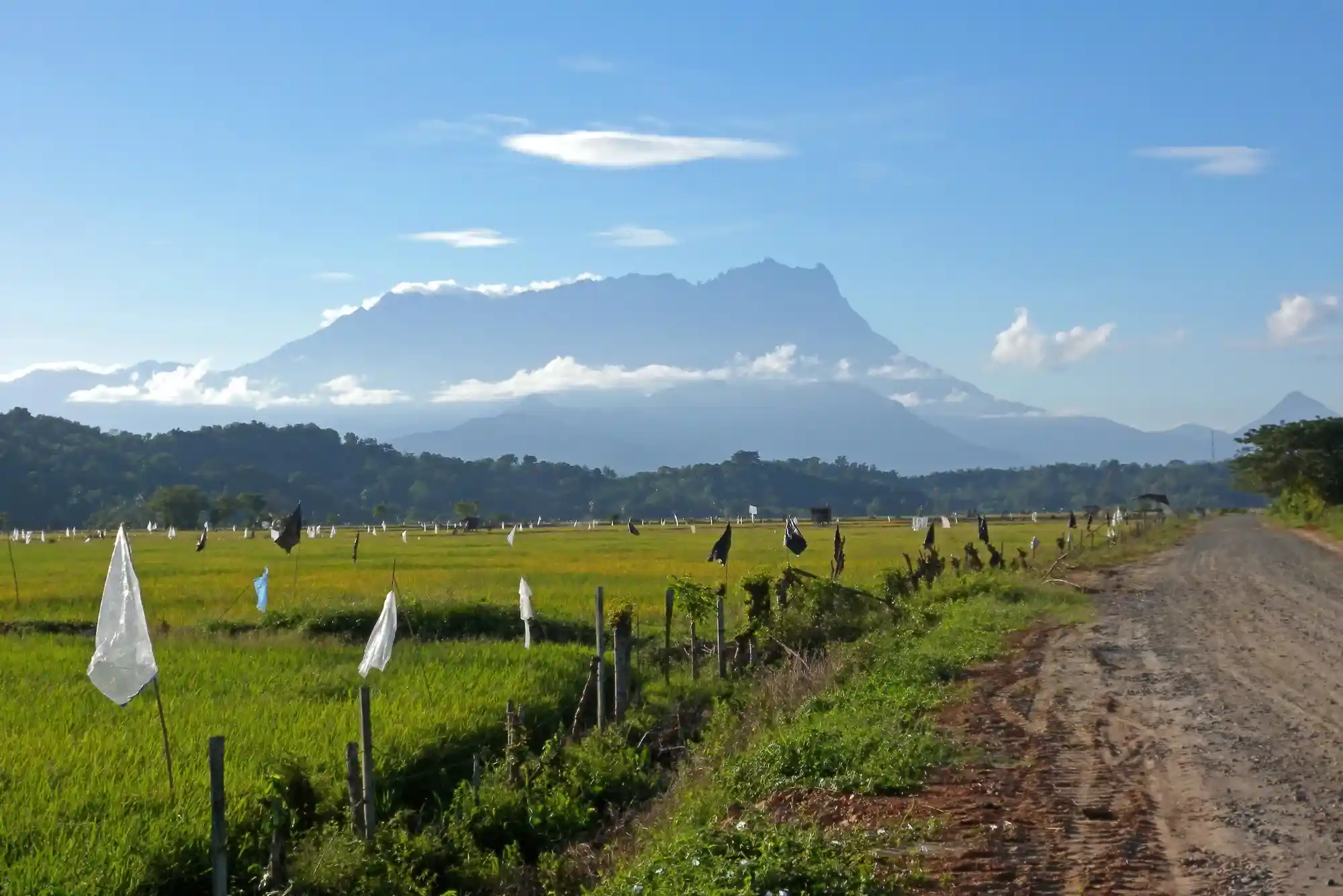 kota kinabalu national park tour