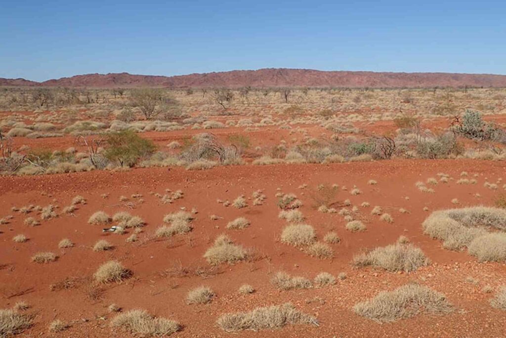 great desert australian bioregion crossword clue